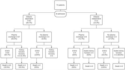 Anti-glomerular Basement Membrane Glomerulonephritis: A Study in Real Life